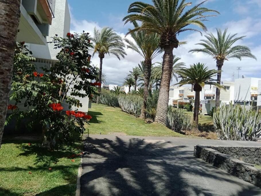 Veronicas Costa Del Silencio Apartment Arona (Tenerife)
